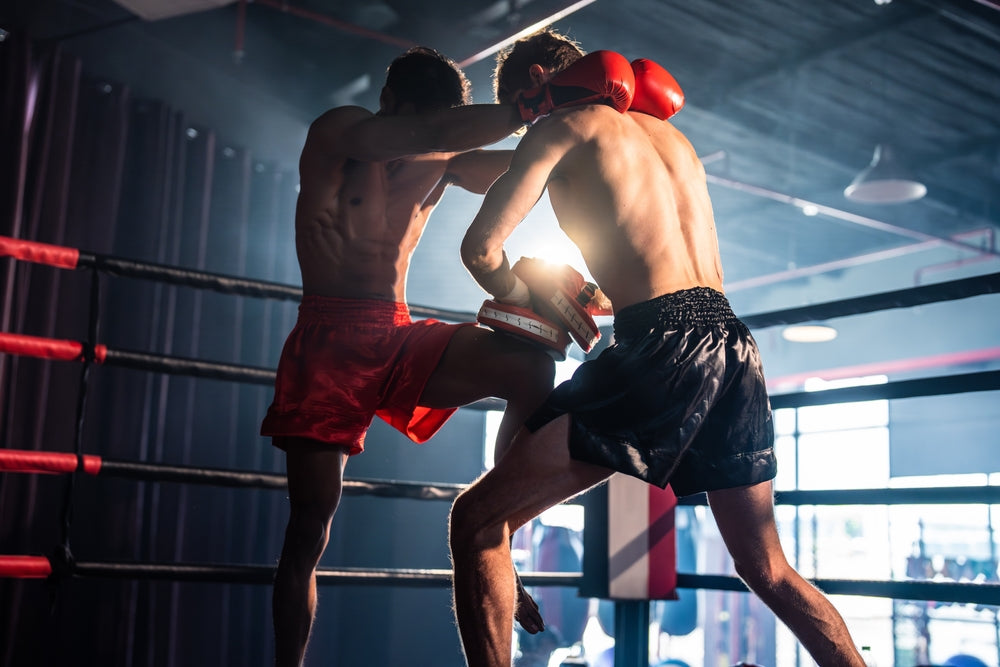 Muay Thai vs Jiu Jitsu: Which Should You Train?