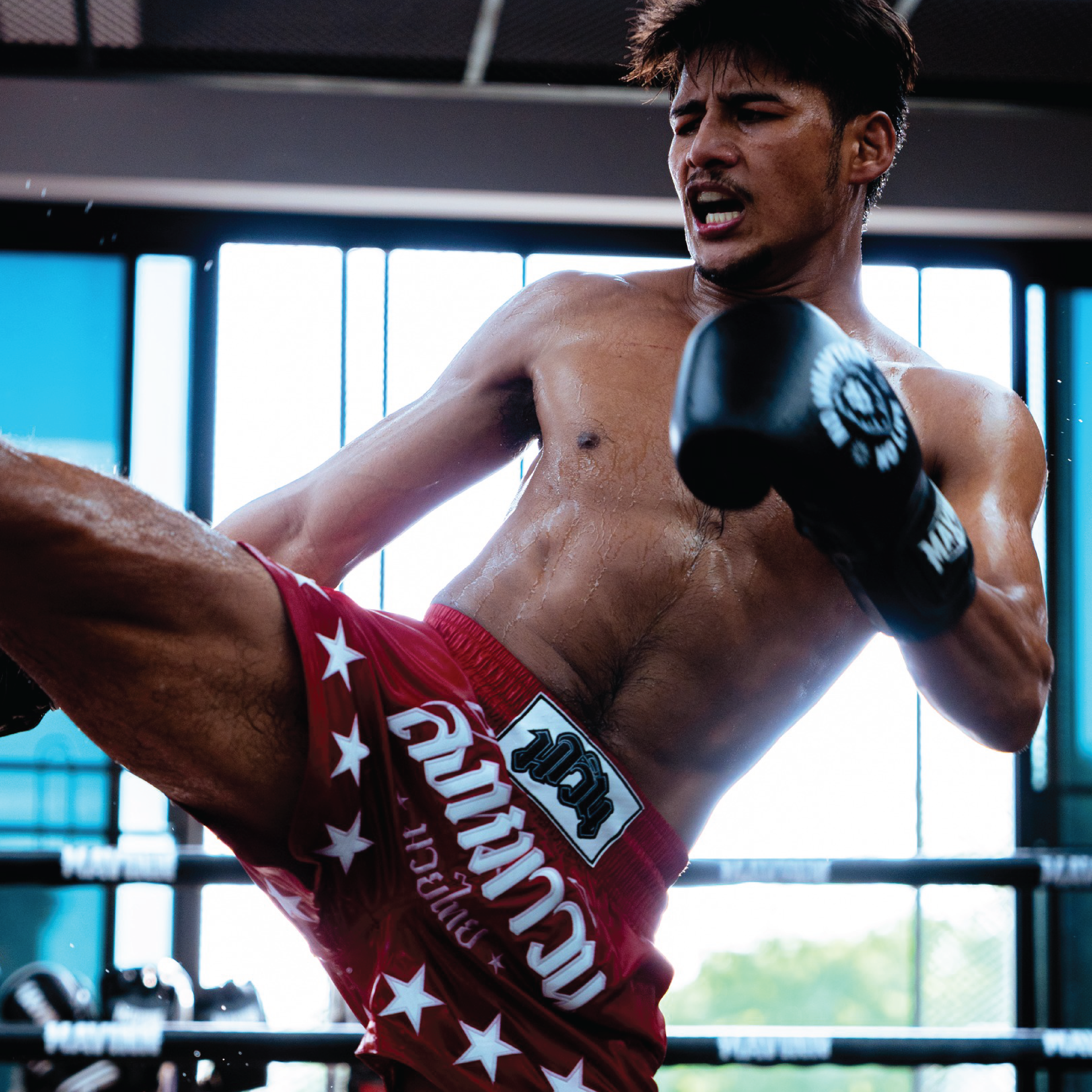 Best Martial Arts to Learn: A Guide for Your Goals