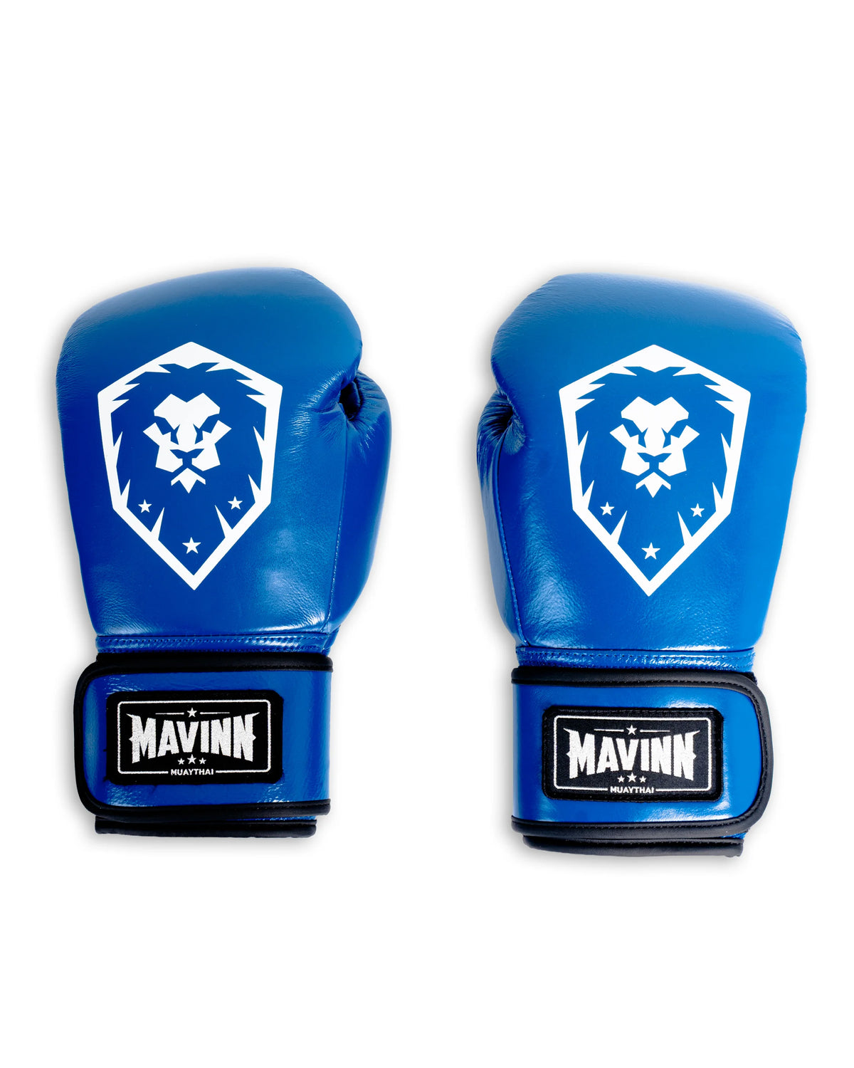 Boxing Gloves Premium Leather - HEART OF THE LION SERIES