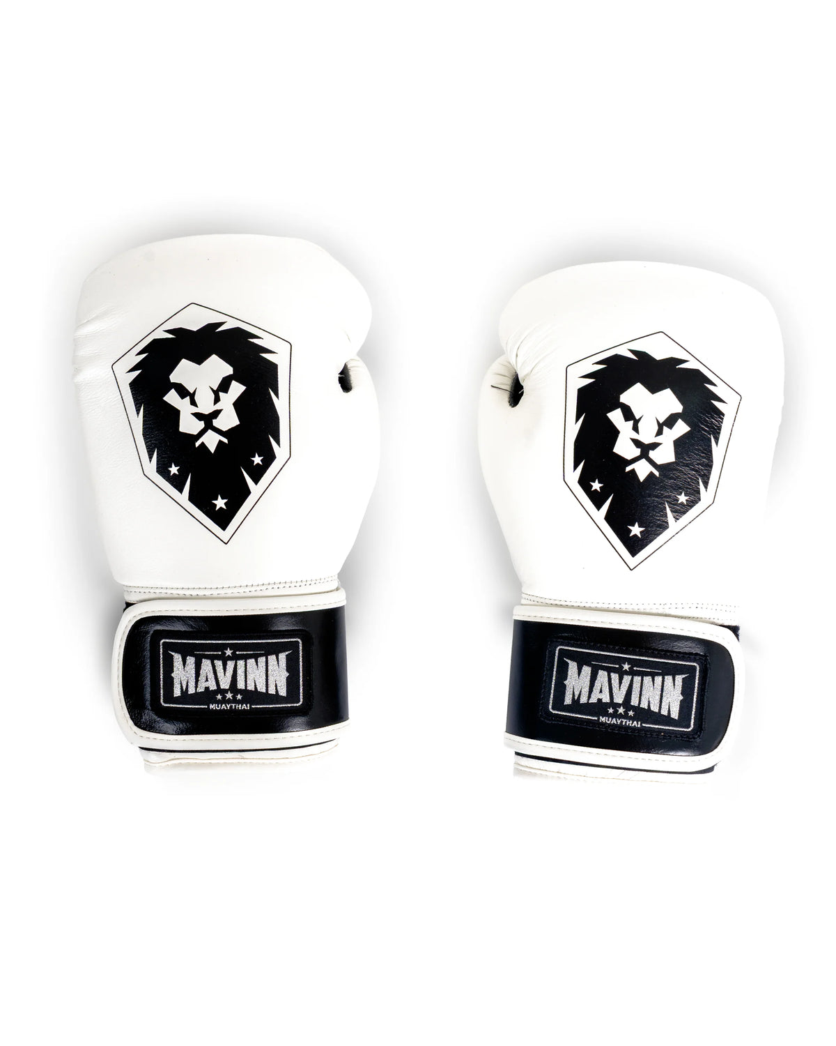 Boxing Gloves Premium Leather - Lion Rhythm DNA