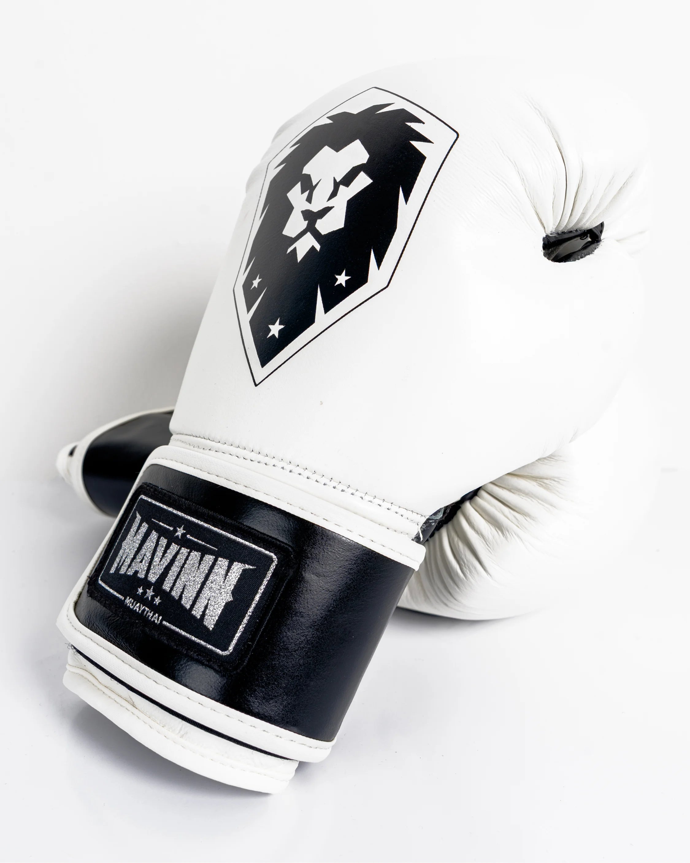 Boxing Gloves Premium Leather - Lion Rhythm DNA
