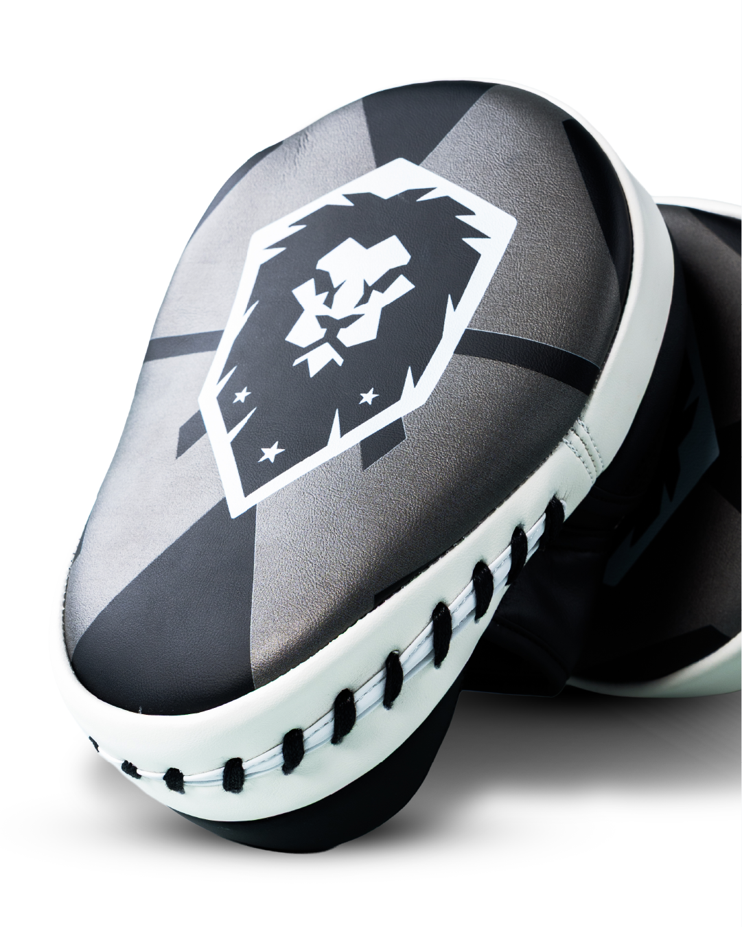 FOCUS MITTS - Control Pro Pads