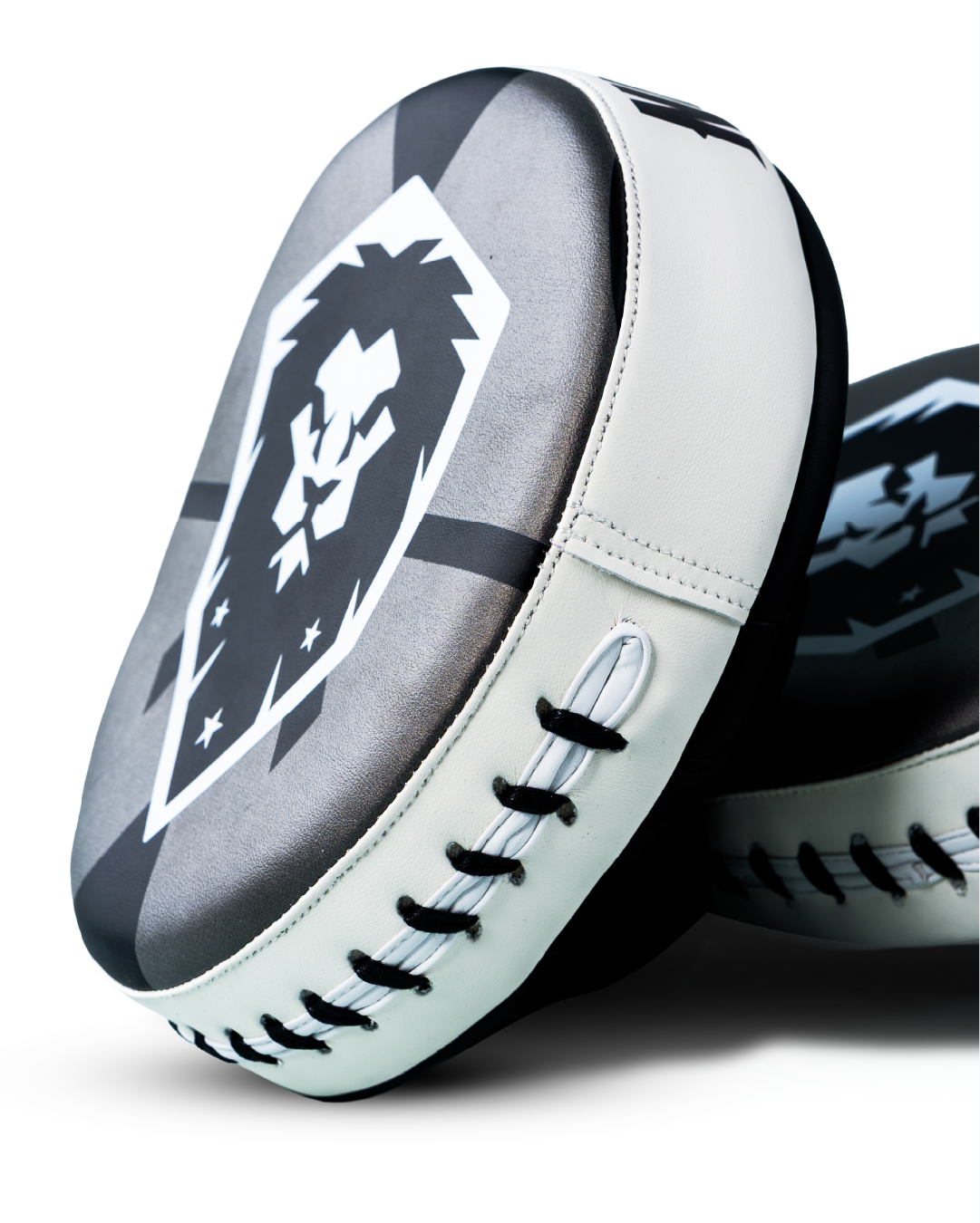 Striking Focus Mitts - Impact Energy Pads