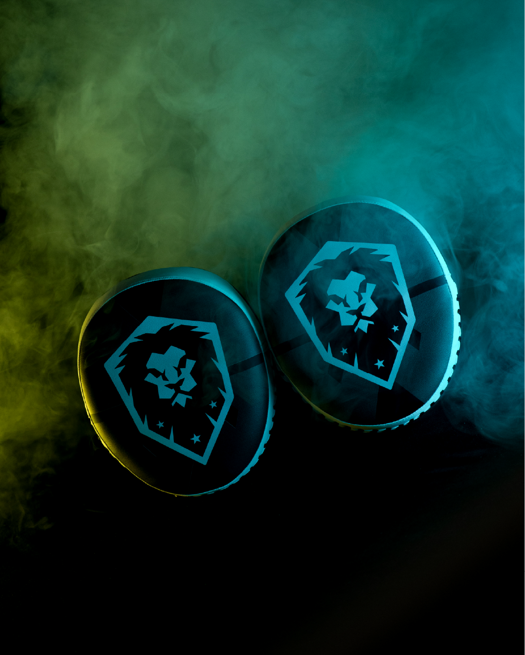 Striking Focus Mitts - Impact Energy Pads