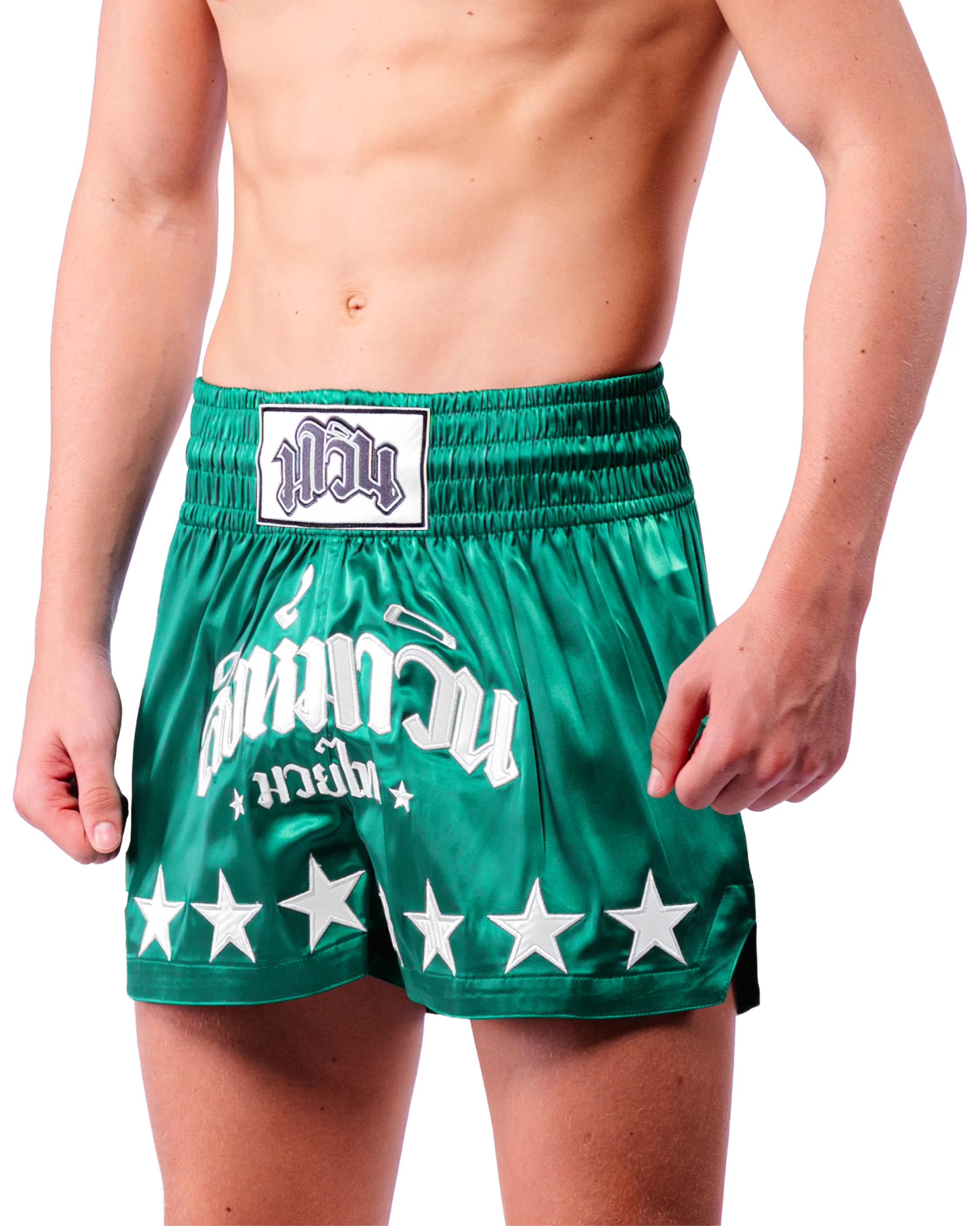 Muay Thai shorts - SIGNATURE SERIES