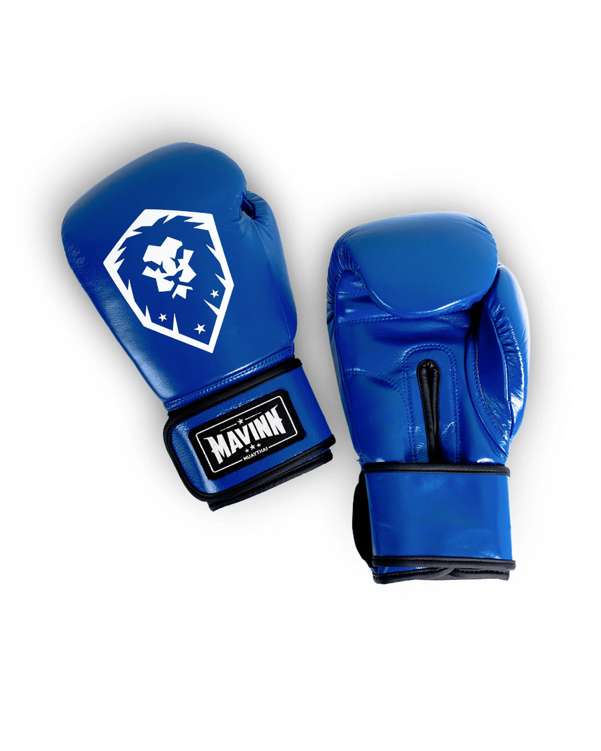 Boxing Gloves Premium Leather - HEART OF THE LION SERIES