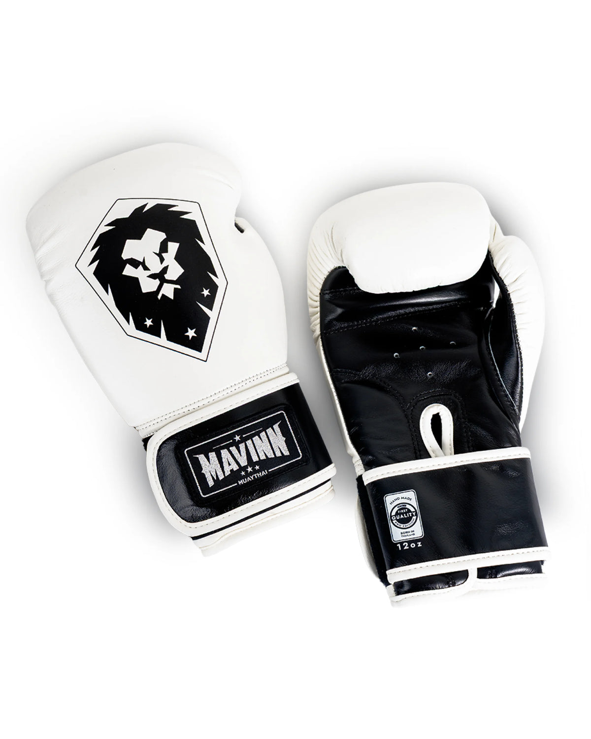 Boxing Gloves Premium Leather - Lion Rhythm DNA