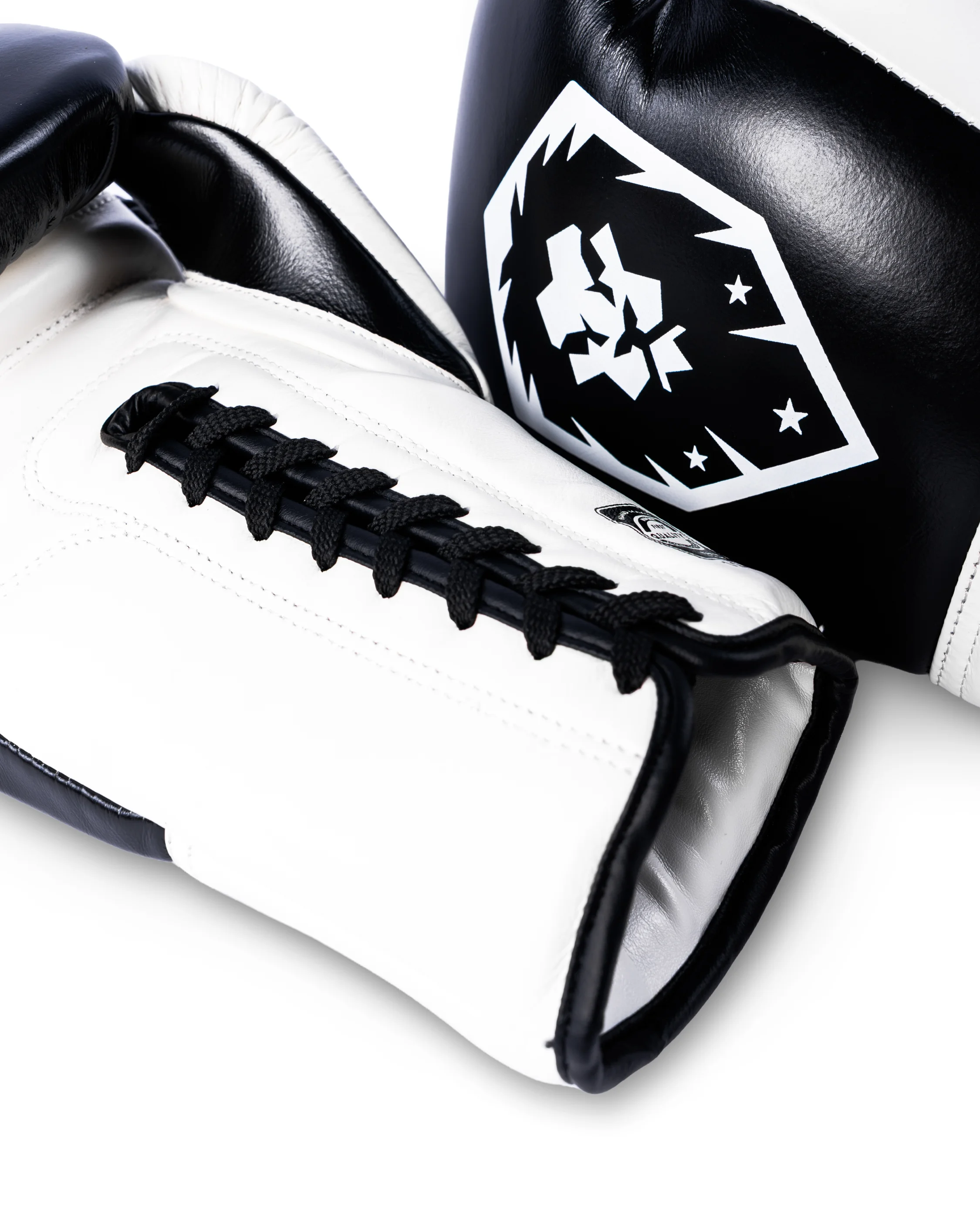 Boxing Gloves Premium Leather - FOUNDATION THE PERFORMANCE