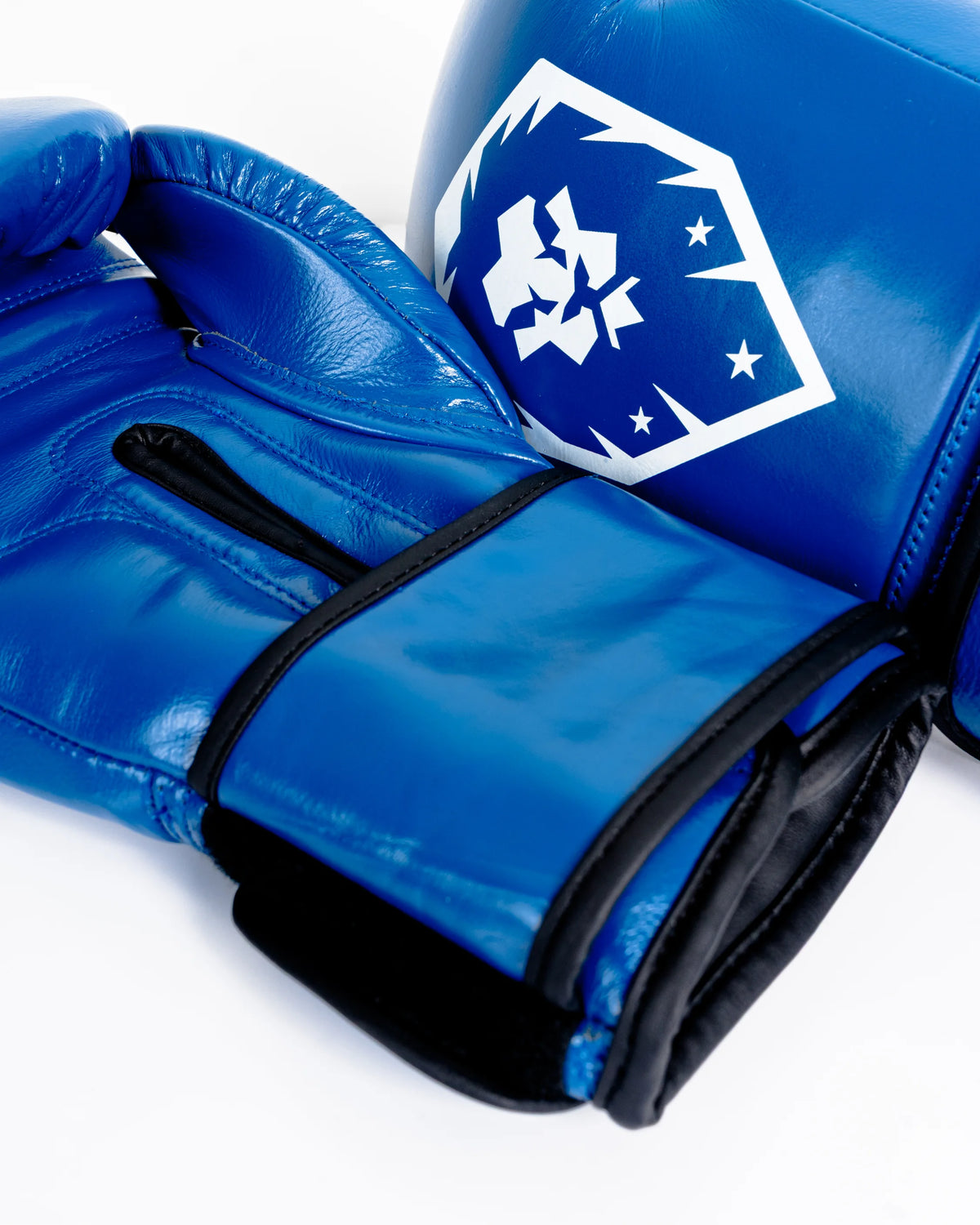 Boxing Gloves Premium Leather - HEART OF THE LION SERIES