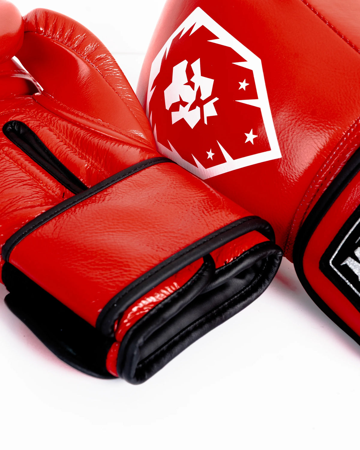 Boxing Gloves Premium Leather - HEART OF THE LION SERIES