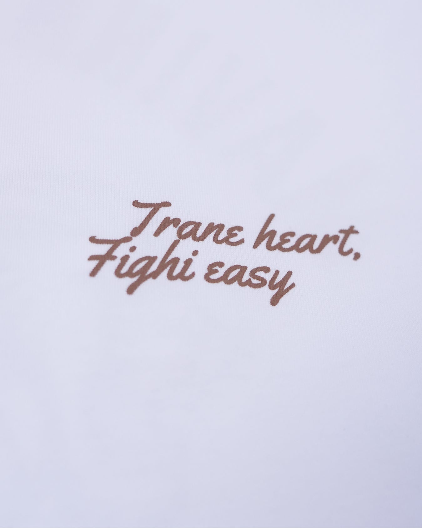 FRAME HEART THE LION