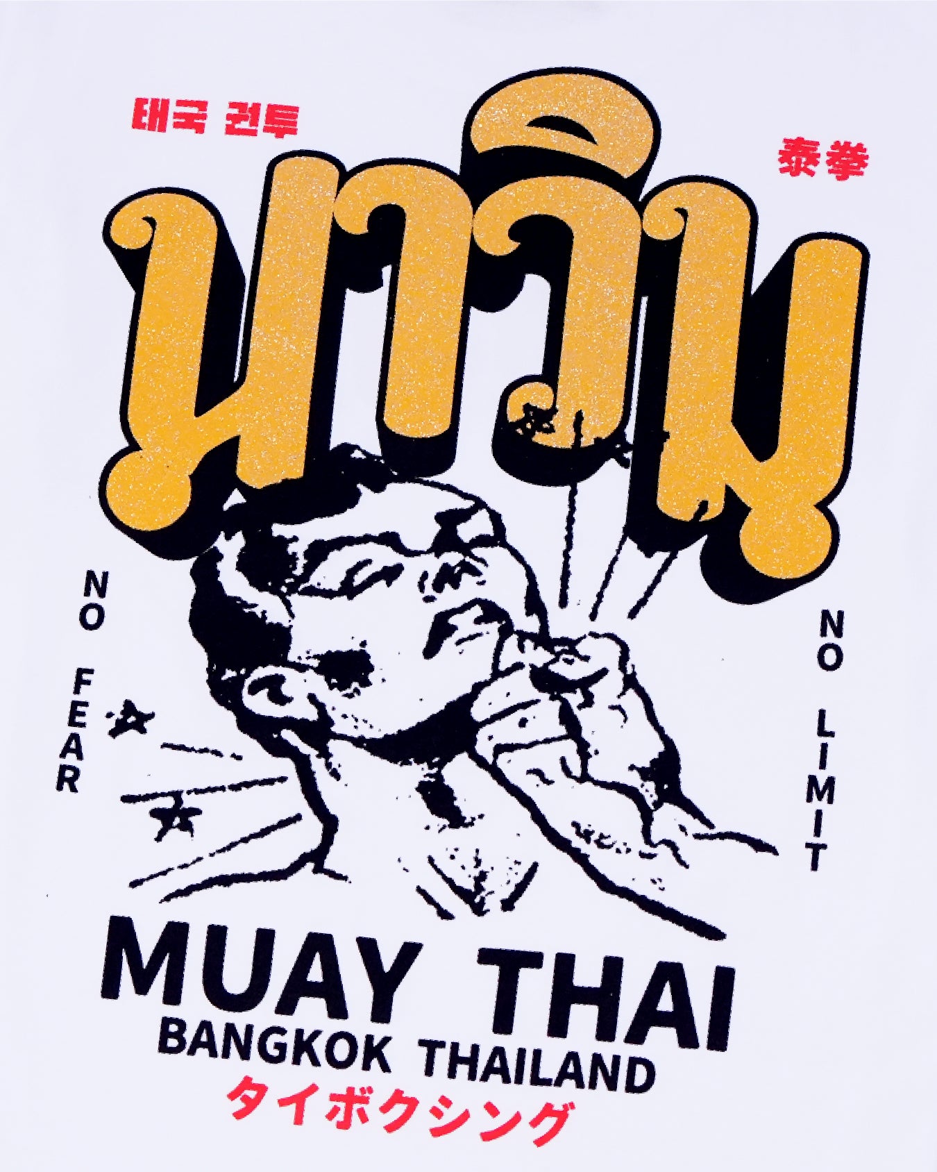MUAY THAI NO LIMIT