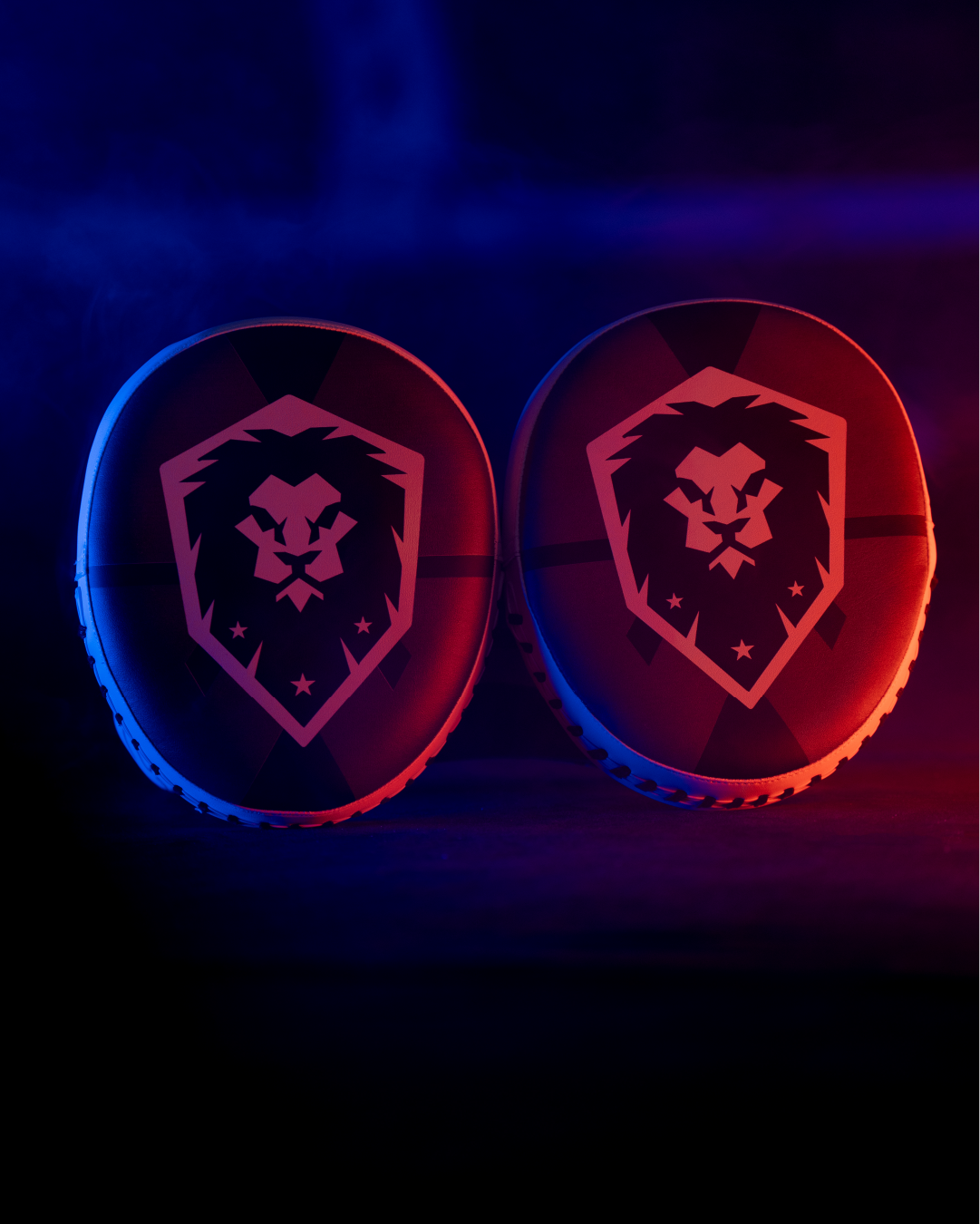 Striking Focus Mitts - Impact Energy Pads